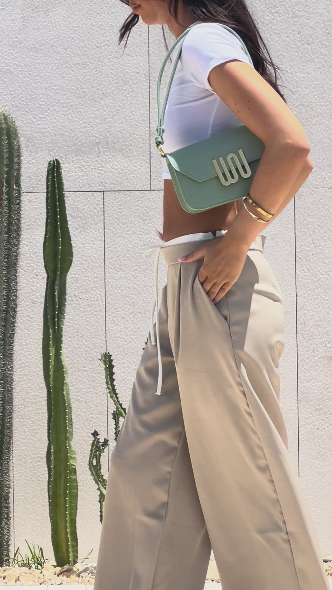 Garnet Spearmint Togo leather crossbody bag video